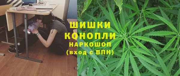 мдпв Осинники