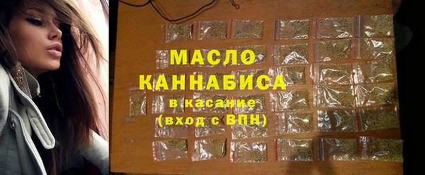 молекула духа Осташков