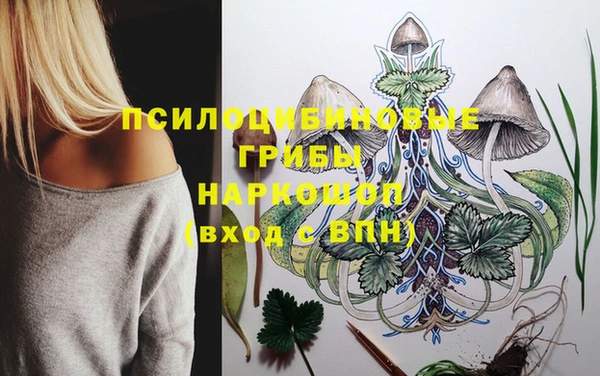 крисы Пестово
