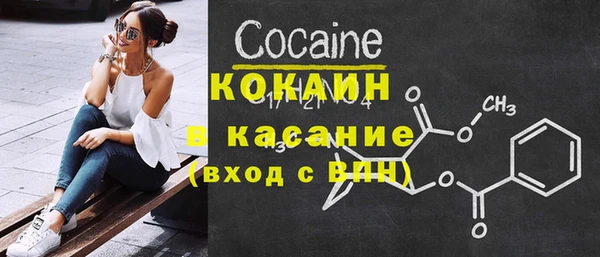 молекула духа Осташков