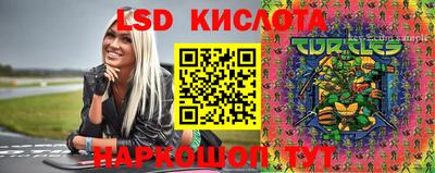 крисы Беслан