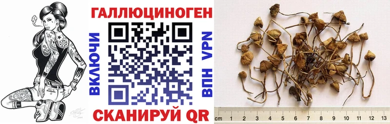 Галлюциногенные грибы мухоморы  закладки  Петровск 