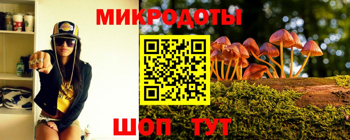 Псилоцибиновые грибы Psilocybine cubensis  Петровск  Галлюциногенные грибы GOLDEN TEACHER 