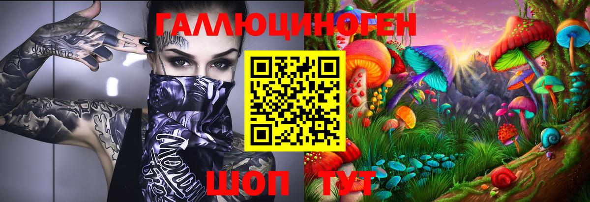 Петровск  Галлюциногенные грибы прущие грибы  Галлюциногенные грибы MAGIC MUSHROOMS  Вход с VPN 