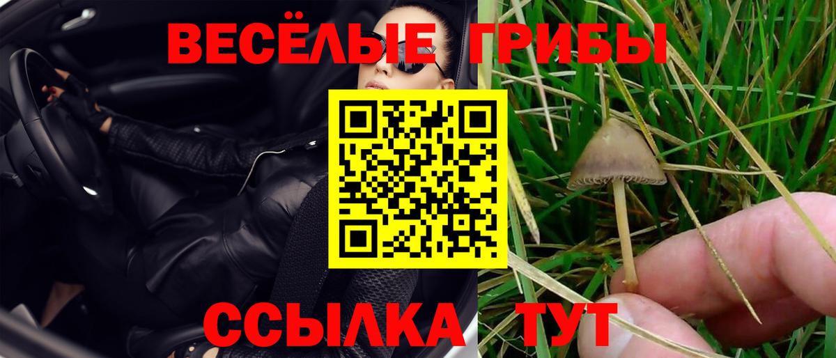 Псилоцибиновые грибы Magic Shrooms Петровск